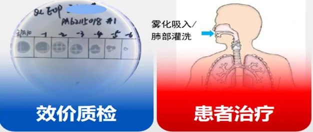 【合作案例】战胜超级耐药细菌!复旦儿科创新抗菌策略,成功治愈首例这类患儿 · 配图