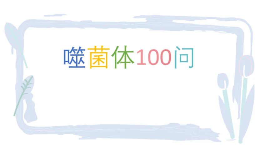 创噬纪2023年度精彩回顾 · 配图