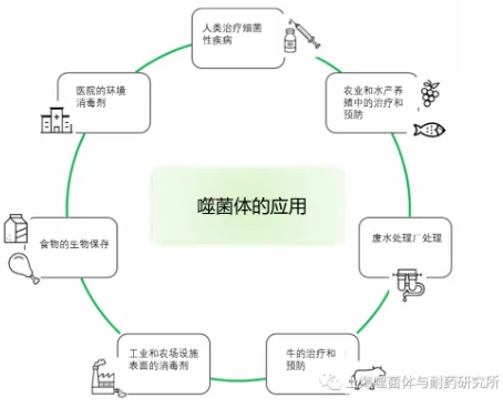 image.png 噬菌体在院内感染防控中的应用 · 配图