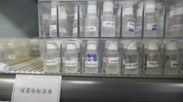 用病毒治病，他们会是后抗生素时代的希望吗？ · 配图