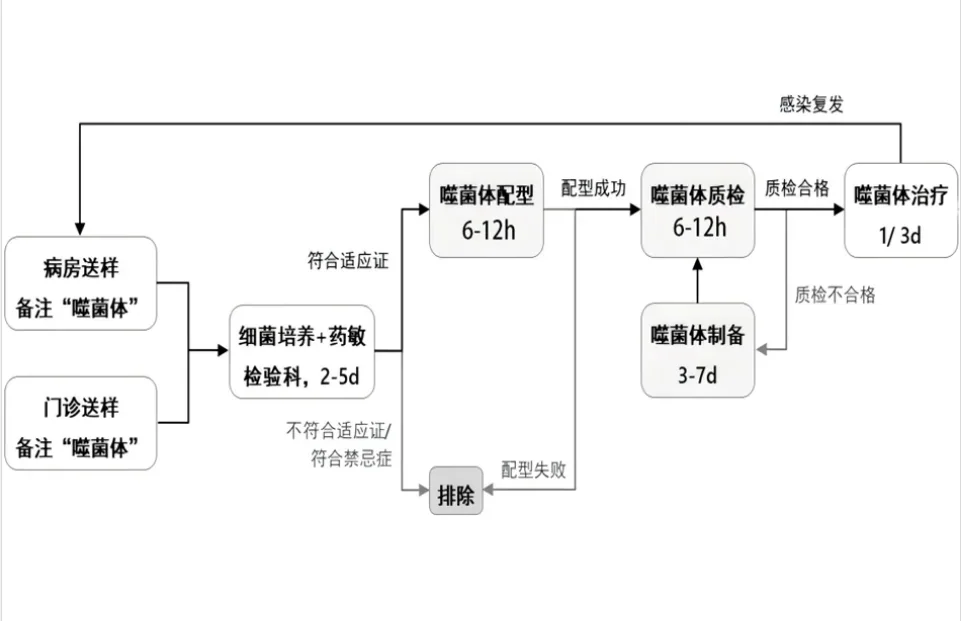 案例6.png 【合作案例】战胜超级耐药细菌!复旦儿科创新抗菌策略,成功治愈首例这类患儿 · 配图