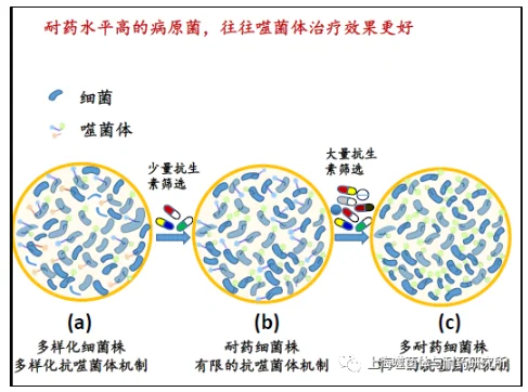 image.png 我能参加个性化噬菌体治疗吗? · 配图