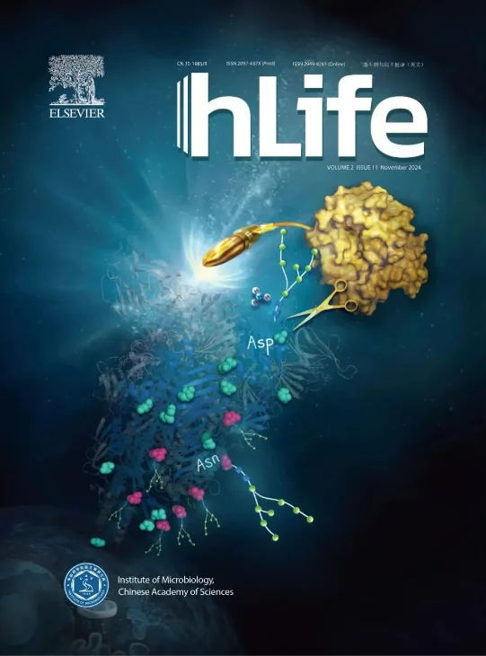 FM13.png hLife | 胡必杰与乐率等研究团队合作发现对抗超级细菌的利器!首例超级细菌胆道感染的噬菌体治疗案例! · 配图