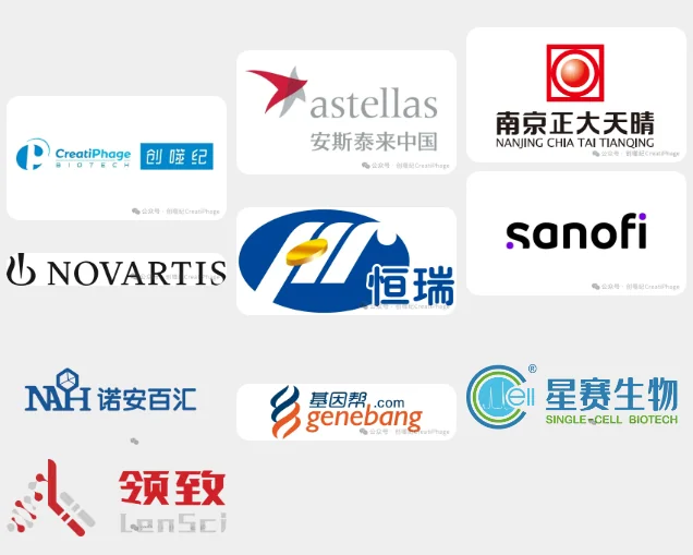 1782194983662.png 【日程来了】2026第九届噬菌体治疗大会及种子营日程安排 · 配图