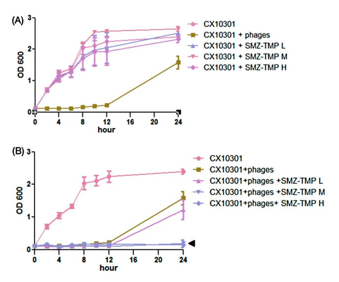 Can Phages be Used with Non-sensitive Antibiotics? — Emerging Microbes & Infections