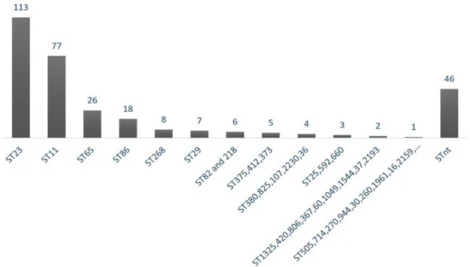 世卫组织警告：高毒力高耐药肺炎克雷伯菌(hvKp)全球蔓延 · 配图