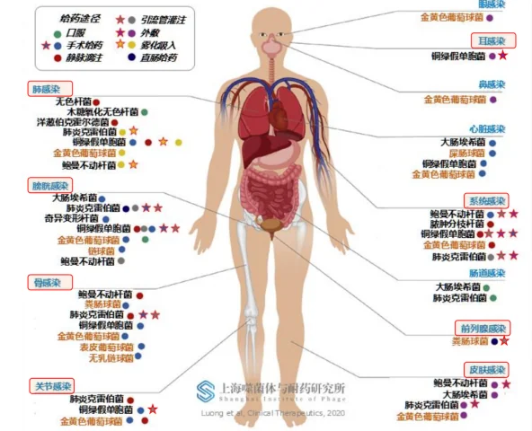 用病毒治病，他们会是后抗生素时代的希望吗？ · 配图