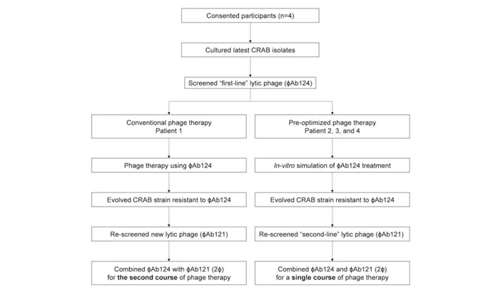 How to Routinely Implement Phage Therapy in Medical Institutions? — Frontiers