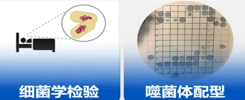 案例5.png 【合作案例】战胜超级耐药细菌!复旦儿科创新抗菌策略,成功治愈首例这类患儿 · 配图