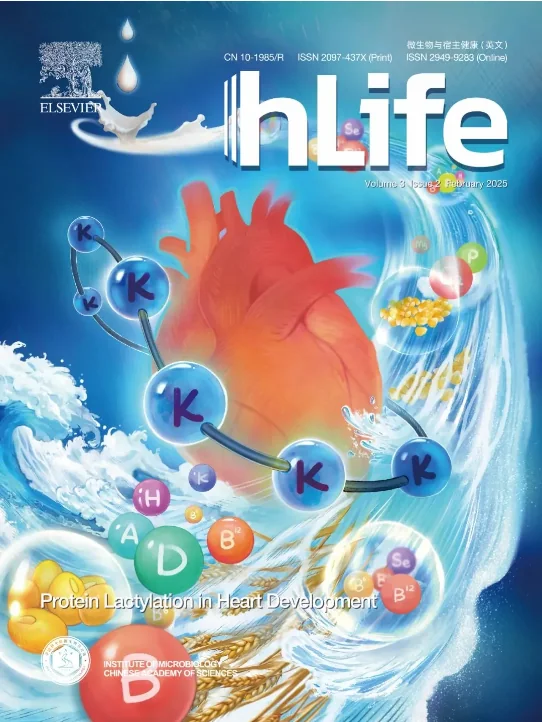 hLife | 胡必杰与乐率等研究团队合作发现对抗超级细菌的利器！首例超级细菌胆道感染的噬菌体治疗案例！ · 配图